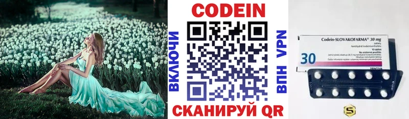MEGA ONION  где купить наркоту  Кыштым  Кодеин напиток Lean (лин) 