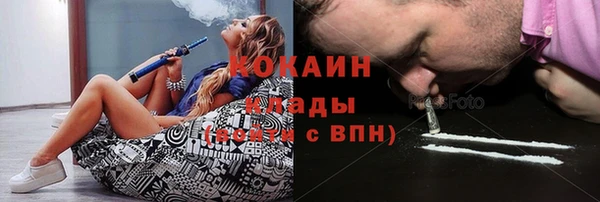 стафф Алексин