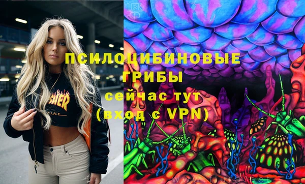 стафф Алексин