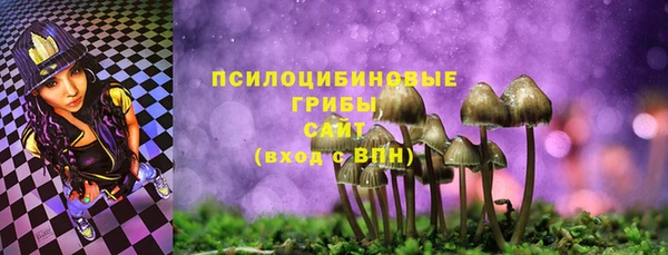стафф Алексин