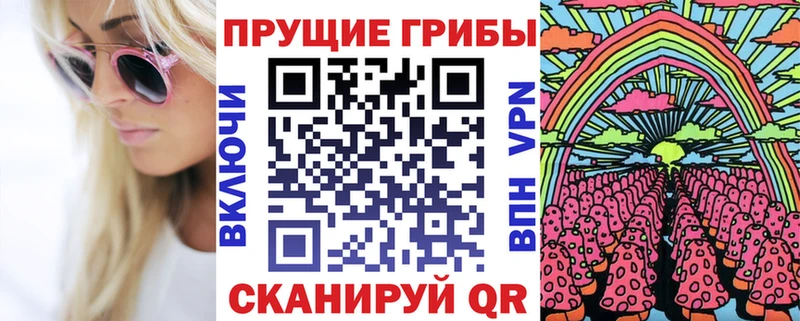 где купить   Кыштым  Псилоцибиновые грибы прущие грибы 