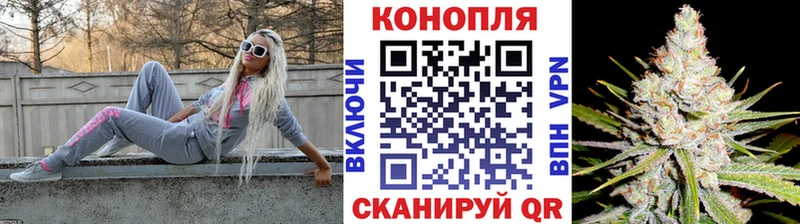 Конопля гибрид Кыштым
